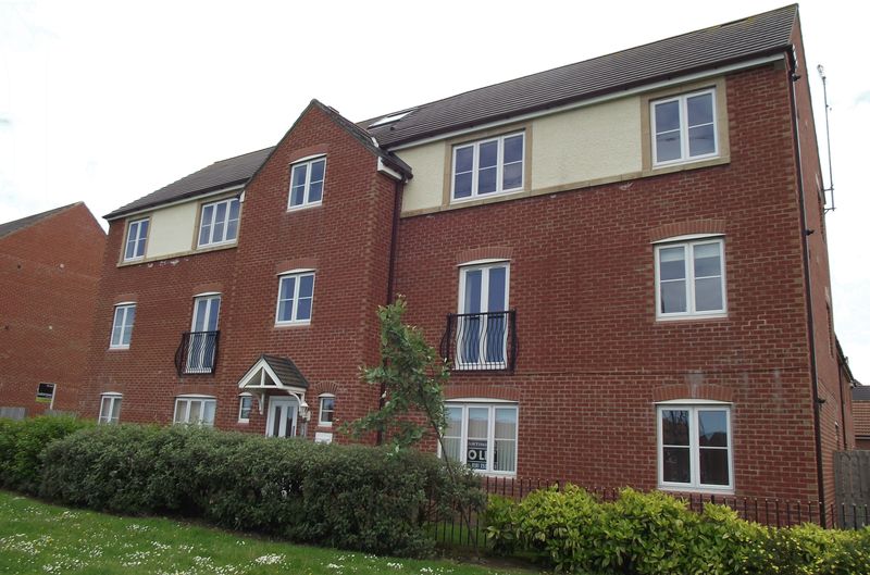 Brookfield West Allotment